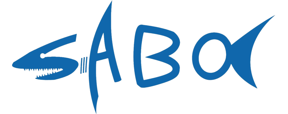 Sabo Sports_Electric Surfing Board_Jet Surfboard_Diving Propeller_E foil__Hydrofoil_Kart boat_Outdoor Sports_Water Sports-Sabo Surfing